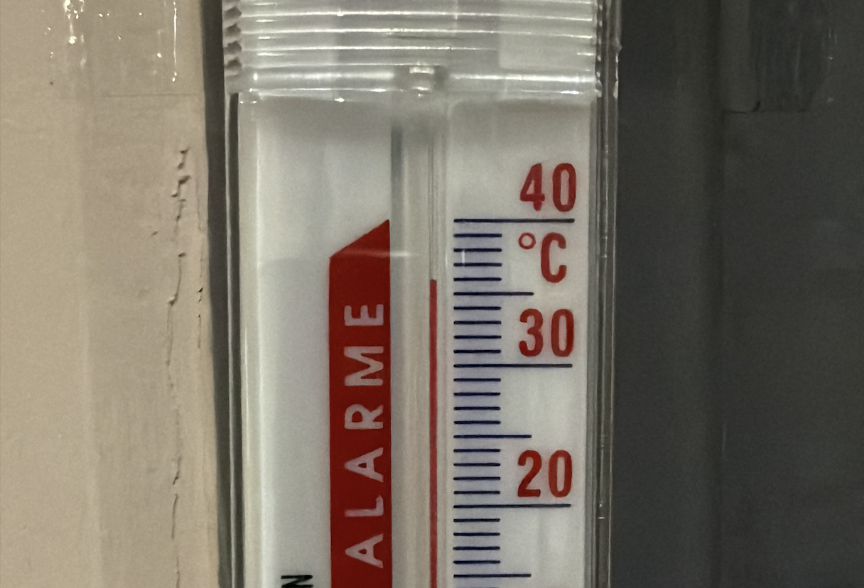 Un jour, chez moi, en pleine canicule